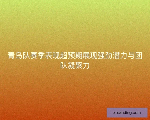 青岛队赛季表现超预期展现强劲潜力与团队凝聚力