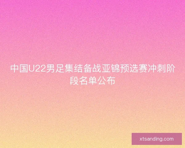 中国U22男足集结备战亚锦预选赛冲刺阶段名单公布